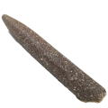 Белемниты